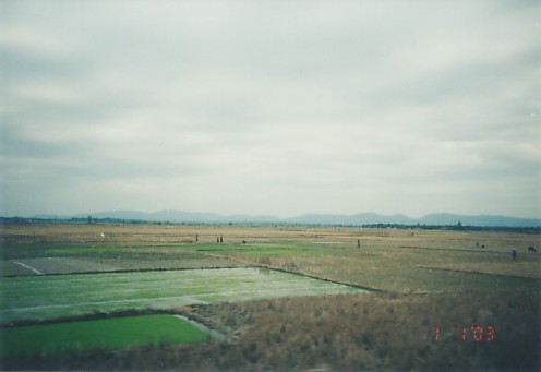 sight4.jpg