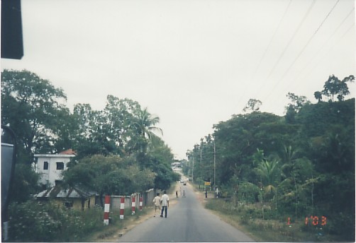 sight7.jpg